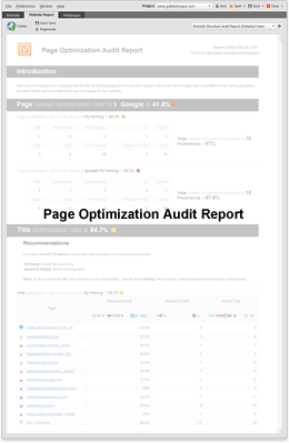 linkassistant auditor review